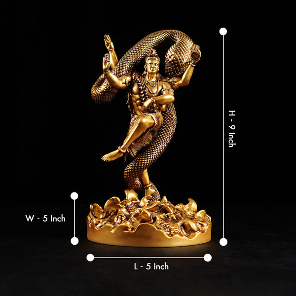 Mystical Shiva 9-Inch